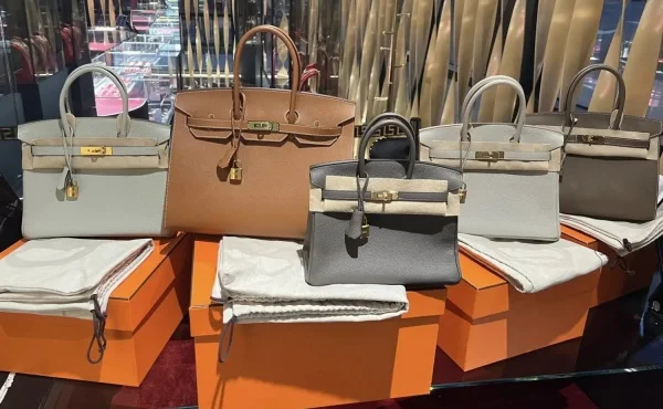 Discover the Allure of Hermès Bags: Where Artisanal Craftsmanship Meets Iconic Design